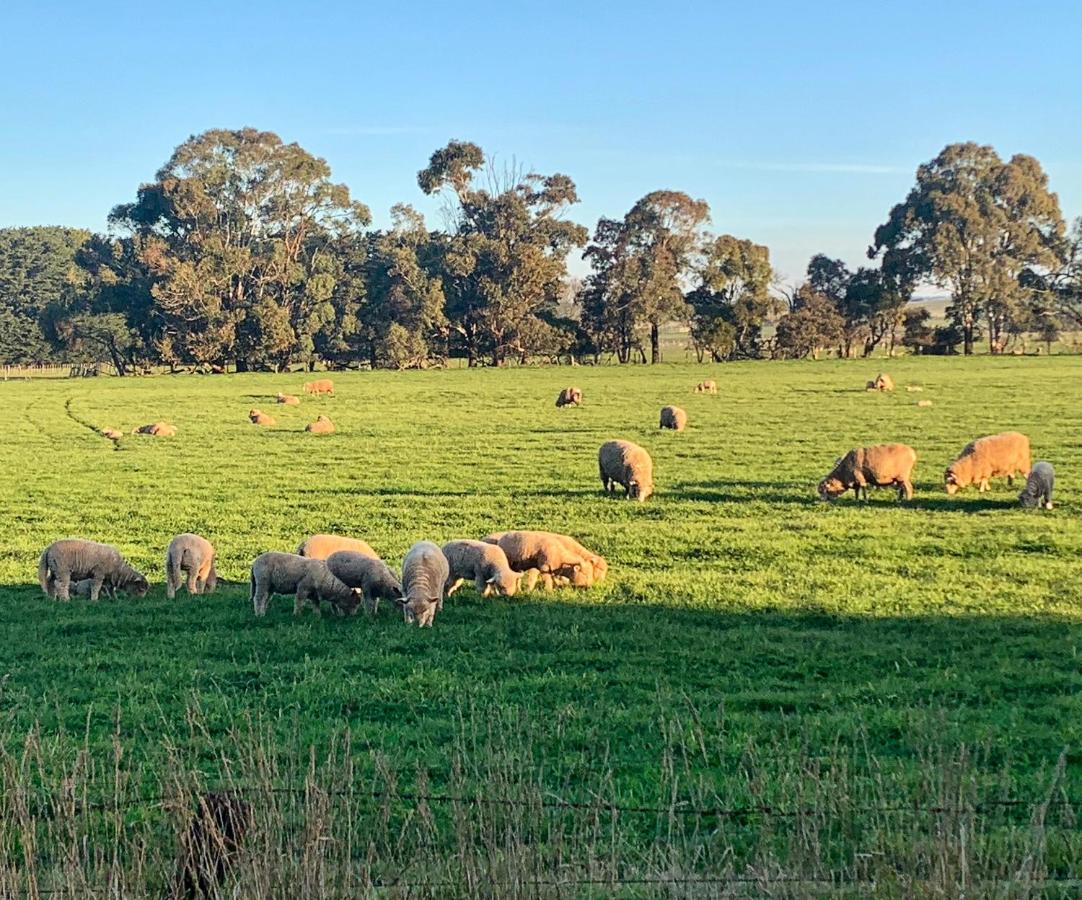 The Lancefield Lodge Lance Field Buitenkant foto